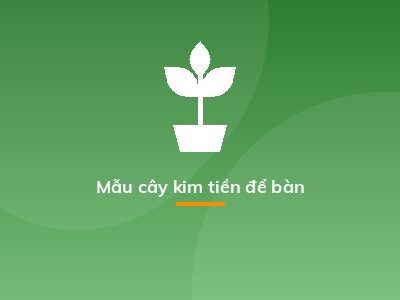 Mẫu cây kim tiền để bàn