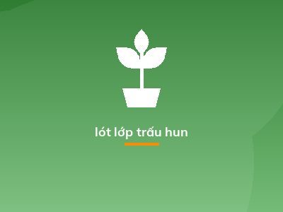 lót lớp trấu hun