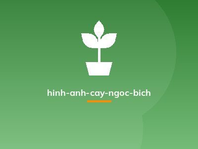 hinh-anh-cay-ngoc-bich