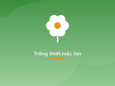 Trồng thiết mộc lan