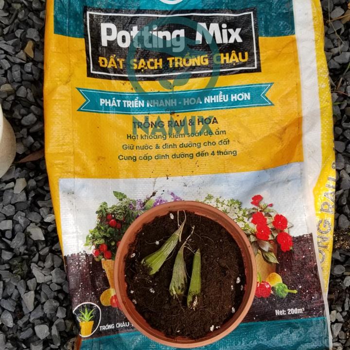 Đất sạch trồng hoa Namix