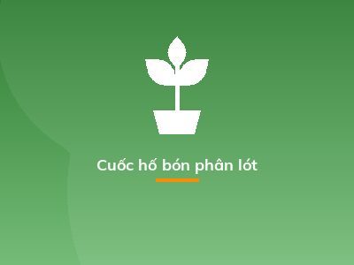 Cuốc hố bón phân lót
