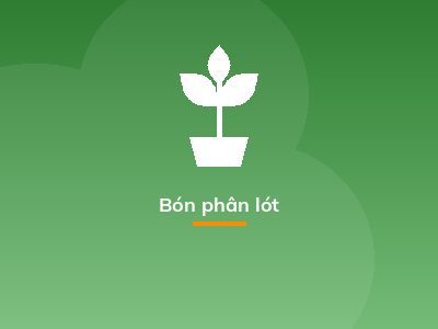 Bón phân lót