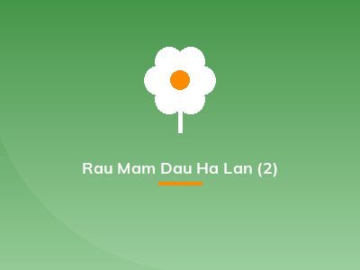 Rau Mam Dau Ha Lan (2)