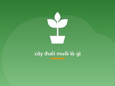 cây đuổi muỗi là gì