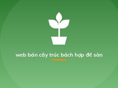 web bán cây trúc bách hợp để sàn