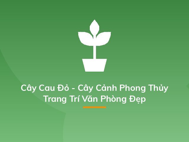 Cây Cau Đỏ - Cây Cảnh Phong Thủy Trang Trí Văn Phòng Đẹp