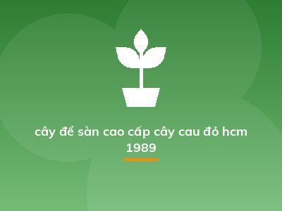 cây để sàn cao cấp cây cau đỏ hcm 1989
