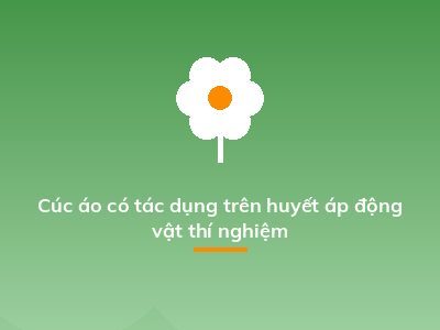Cúc áo có tác dụng trên huyết áp động vật thí nghiệm