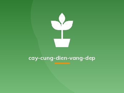 cay-cung-dien-vang-dep