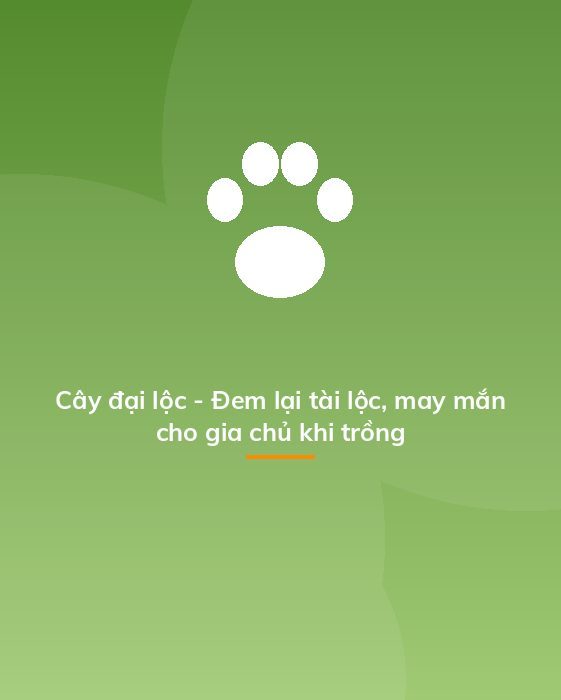 Cây đại lộc - Đem lại tài lộc, may mắn cho gia chủ khi trồng