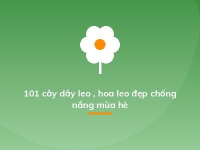 101 cây dây leo , hoa leo đẹp chống nắng mùa hè