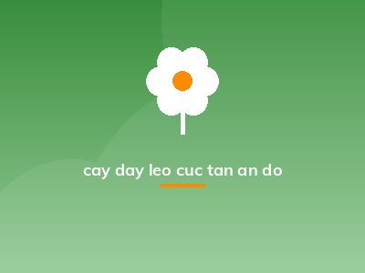 cay day leo cuc tan an do