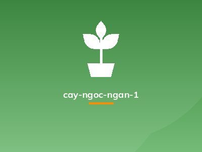 cay-ngoc-ngan-1