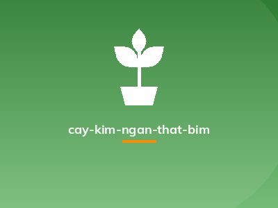 cay-kim-ngan-that-bim