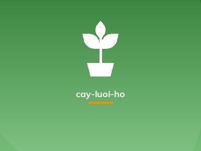 cay-luoi-ho