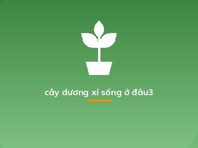 cây dương xỉ sống ở đâu3