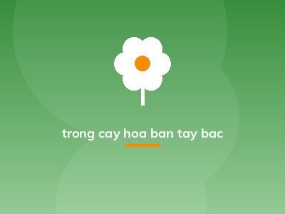 trong cay hoa ban tay bac