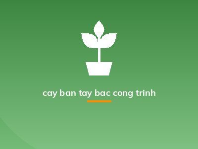 cay ban tay bac cong trinh