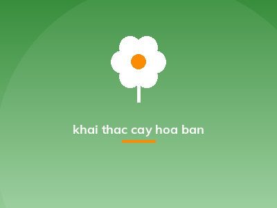 khai thac cay hoa ban