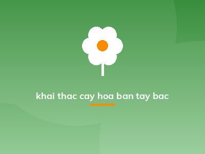 khai thac cay hoa ban tay bac