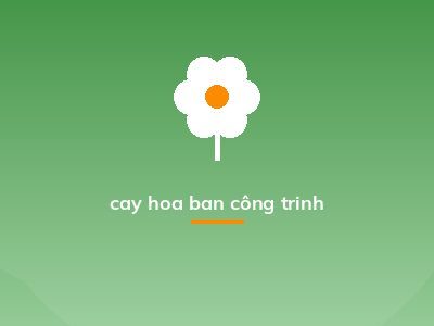 cay hoa ban công trinh