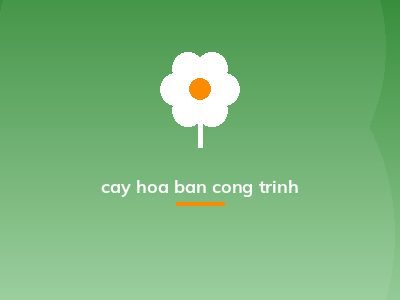 cay hoa ban cong trinh