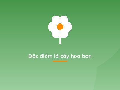 Đặc điểm lá cây hoa ban