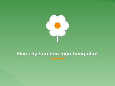 Hoa cây hoa ban màu hồng nhạt