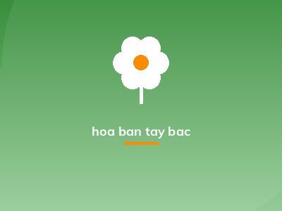 hoa ban tay bac