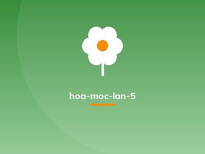 hoa-moc-lan-5