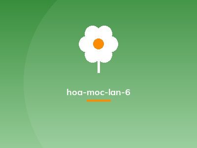 hoa-moc-lan-6
