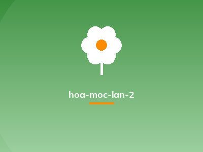 hoa-moc-lan-2