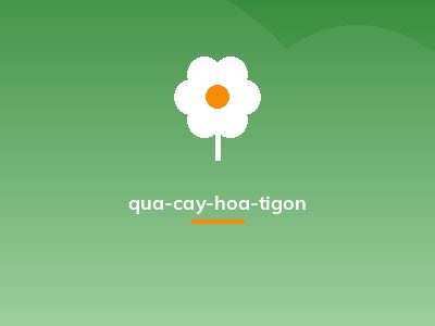 qua-cay-hoa-tigon
