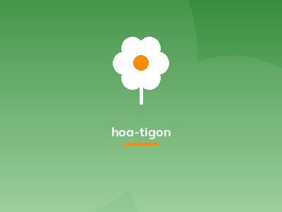 hoa-tigon