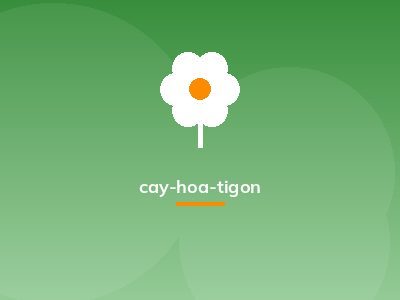 cay-hoa-tigon