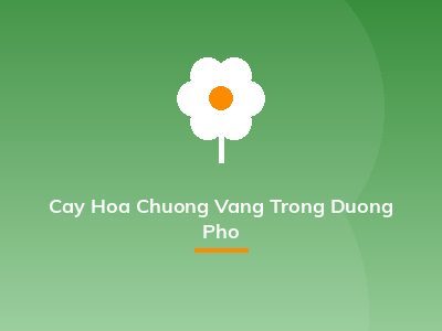 Cay Hoa Chuong Vang Trong Duong Pho
