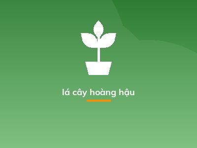 lá cây hoàng hậu