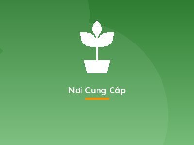 Nơi Cung Cấp