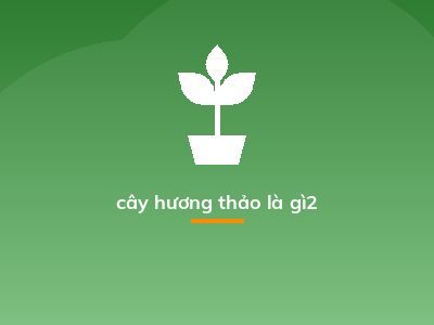 cây hương thảo là gì2