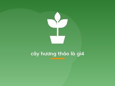 cây hương thảo là gì4
