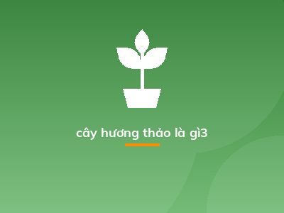 cây hương thảo là gì3