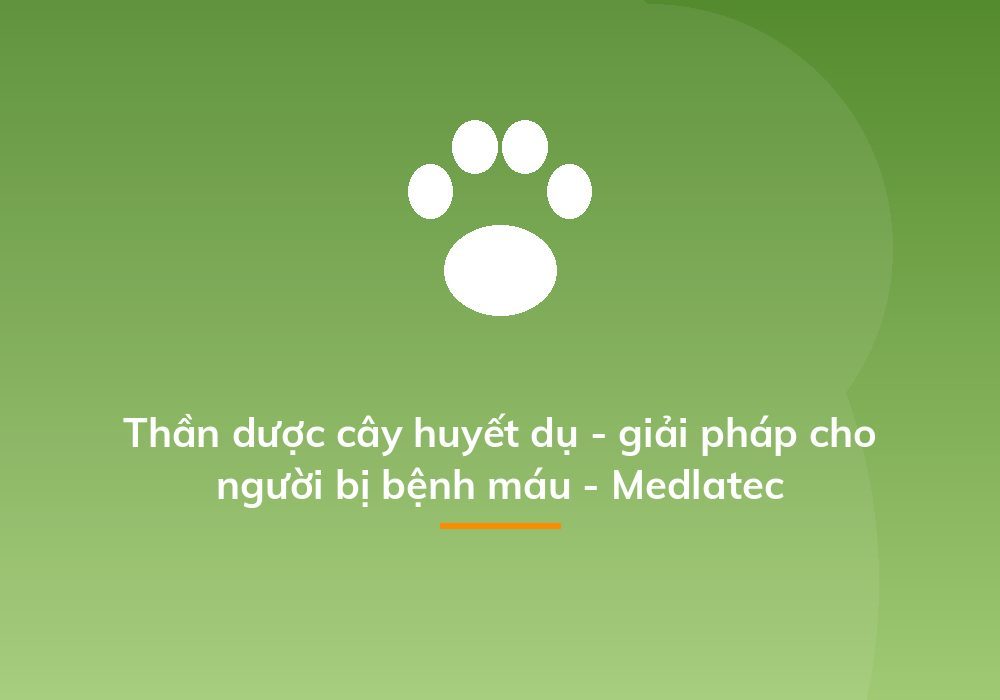 Thần dược cây huyết dụ - giải pháp cho người bị bệnh máu - Medlatec