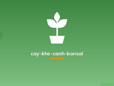 cay-khe-canh-bonsai