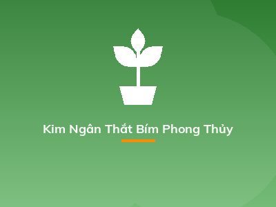 Kim Ngân Thắt Bím Phong Thủy