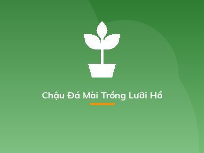 Chậu Đá Mài Trồng Lưỡi Hổ