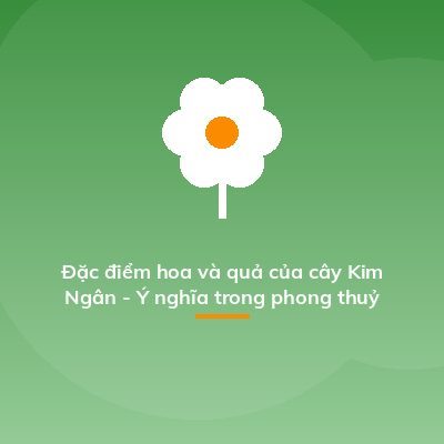 Đặc điểm hoa và quả của cây Kim Ngân - Ý nghĩa trong phong thuỷ