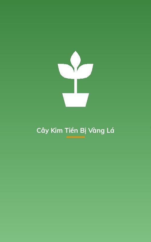 Cây Kim Tiền Bị Vàng Lá