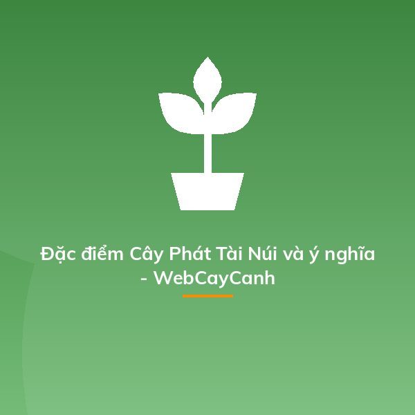 Đặc điểm Cây Phát Tài Núi và ý nghĩa - WebCayCanh