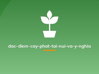 dac-diem-cay-phat-tai-nui-va-y-nghia